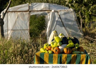 A table full of vegetables including tomatoes, peppers, and cucumbers. The vegetables are piled on top of each other and are displayed on a table. The scene is set in a garden or a greenhouse