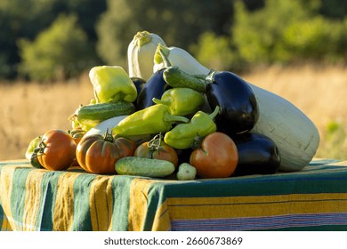 A table full of vegetables including tomatoes, cucumbers, squash, and peppers. The vegetables are piled on top of each other, creating a colorful and vibrant display