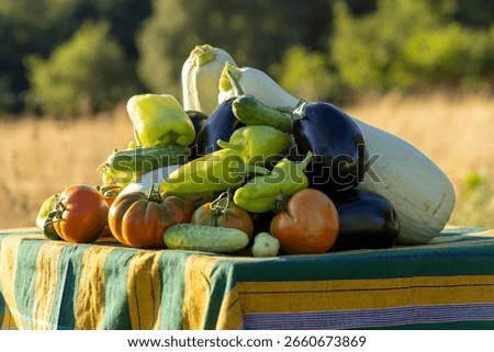 A table full of vegetables including tomatoes, cucumbers, squash, and peppers. The vegetables are piled on top of each other, creating a colorful and vibrant display