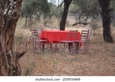 A Table Of Massai Awaits Us In The Middle Of Nowhere