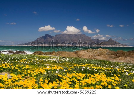 table mountain cape town