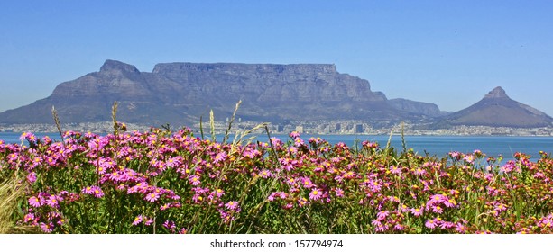 Table Mountain with flowers
