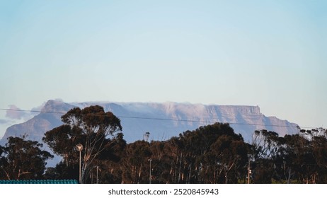 Table Mountain with a ground view, with trees in a front view of the mountain. Bright sunny day, in the morning, 