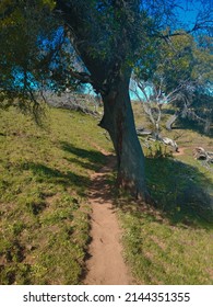 Table Mountain Hiking Trails. Oroville Ca.