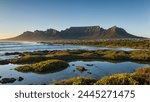 Table Mountain Majesty: A Visual Ode to the Western Cape