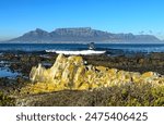 Table Mountain as seen from Robben Island Cape Town