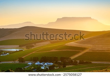 Table Mountain silhouette in the background with Nitida Wine Farm in the foreground, Cape Town, South Africa