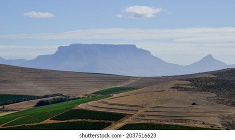 Table Mountain - View From The Wine Farm Nitida 