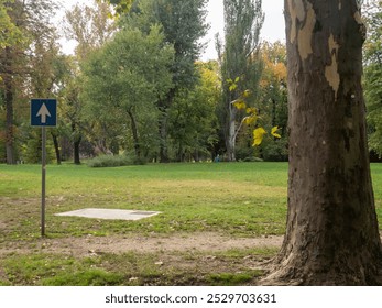 Table in the park and a tree