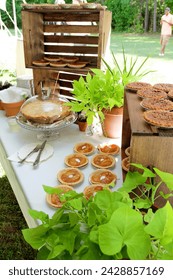 table with pies and plans