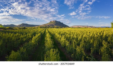 Table Rock Summer Southern Oregon