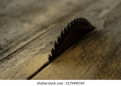 Table saw cutting wood, Circular saw blade for wood work. Carpenter tool. close up image.