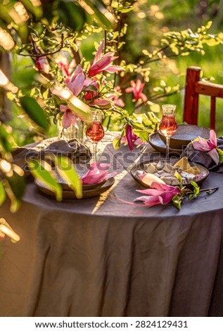 Table setting in garden on sunset light. Table decorated with magnolia flowers under magnolia tree