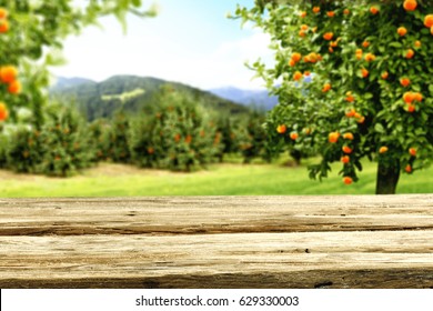 Download 930+ Background Information Of Orange Farm Paling Keren