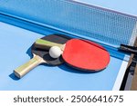 table tennis ball and paddle