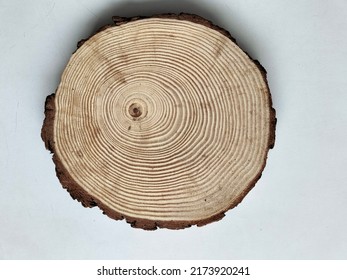 Table Top Chop Cut Tree Contour Lines Impression Circles Life History Story Timeline Ancient Traces Path Ways Life Concept Background 