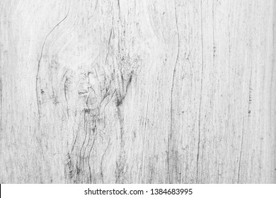 Table Top View Of Birch Wood Texture In White Pale Color Background. Gray Clean Grain Rough Oak Wooden Floor Birch Marble Wall With Counter Plywood Wide Bacground Board Paper Black For Clear Concept.