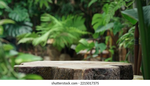 Table top wood counter floor podium in nature outdoors tropical forest garden blurred green jungle plant background.natural product present placement pedestal stand display,spring or summer concept.