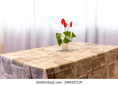 table-cloth on a rectangular table above a vase with red flower