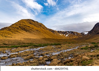 Gros Gorseller Stok Fotograflar Ve Vektorler Shutterstock