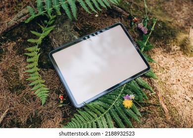 Tablet Mockup On The Background Of Nature In The Forest. Workplace In Nature, Ipad Mockup With Blank White Screen