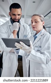 Tablet, Science And Research With A Man And Woman Scientist Working On The Internet In Their Laboratory. Innovation, Technology And Analytics With A Medicine Team At Work In Collaboration In The Lab