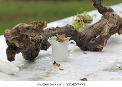 Tableware Settings In Outdoor Venue With Nature For Special Event