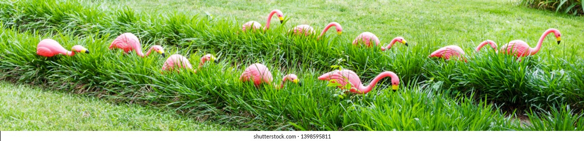 Tacky Pink Flamingos Lining Path Leading To Home.