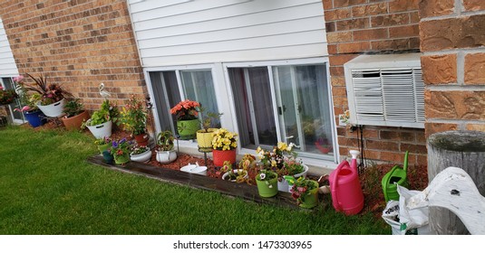 Tacky Trashy Apartment With Flowers, Flower Pots, Watering Cans, Hoarder Lives Here, Window Unit Air Conditioner, Basement Living