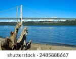 The Tacoma Narrows Bridge is seen across the Tacoma Narrows channel with driftwood on the beach in foreground; focus is on the driftwood.