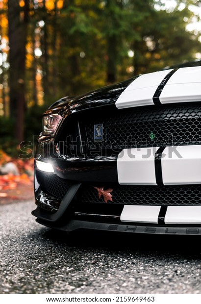 Tacoma, WA, USA\
Feb 15, 2020\
Black Shelby\
Ford Mustang photographed in the\
woods
