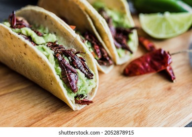 Tacos De Chapulines Or Grasshopper Taco Traditional In Mexican Food With Homemade Guacamole Sauce In Oaxaca Mexico