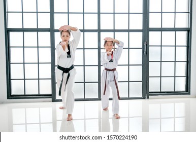 Taekwondo Teacher And Student Show Action Of Different Postures In The Room With Glass Windows. 