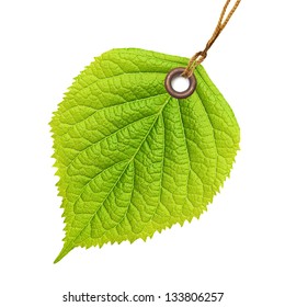 Tag Label Green Leaf Isolated On White Background.