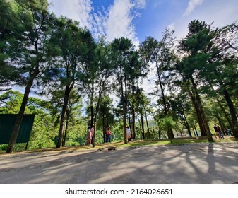 386 Tagaytay city Images, Stock Photos & Vectors | Shutterstock