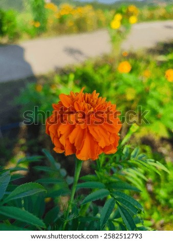 Similar – Image, Stock Photo Then we just use the trigger | clever alternatives for all life situations