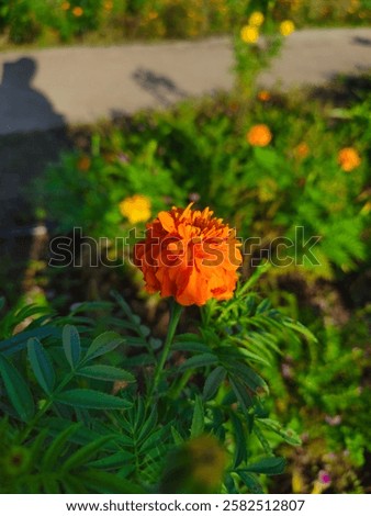 Similar – Image, Stock Photo Then we just use the trigger | clever alternatives for all life situations