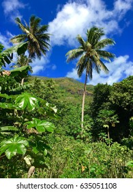 Tahaa, French Polynesia