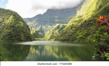 Tahiti in French Polynesia, Vaihiria lake in the Papenoo valley in the mountains, luxuriant bushy vegetation 
