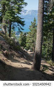 Tahoe Rim Trail Near State Line Nevada