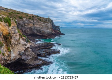 Taiaroa Head At Otago Peninsula, New Zealand