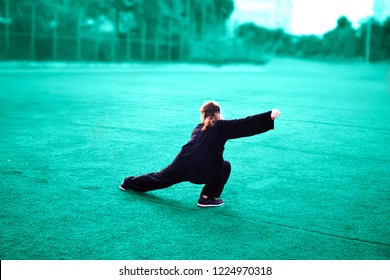 Taichi Wushu Master Woman Outdoors In Move