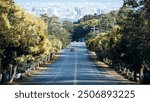 Taichung, Taiwan - September 16, 2022: Admire the colorful avenue of Goldenrain tree in the Nantun District of Taichung.