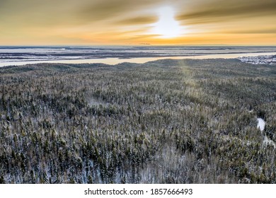 Taiga coniferous forest in Siberia in sunny weather.