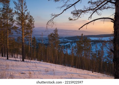 Taiga Wood In The Winter. Winter Taiga. The Siberian Wood In The Winter In Russia.