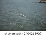 Taihu Yuantouzhu Scenic Area, Wuxi City, Jiangsu Province-Seascape at sunset