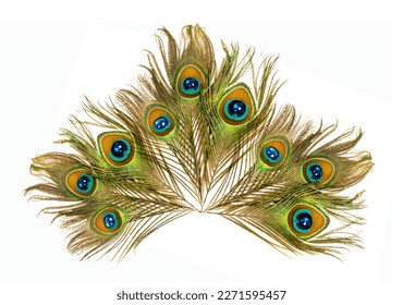 Tail of a peacock on a white background. Carnival decorations. Festive decorations
