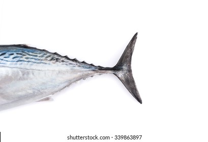 Tail Of Raw Fish, Bonito, Isolated On White With Shadow