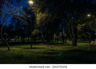 The tailed lawn with yellow leafs in the night park with lanterns in autumn. Benches in the park during the autumn season at night. Illumination of a park road with lanterns at night. Park Kyoto - Shutterstock ID 2212725223
