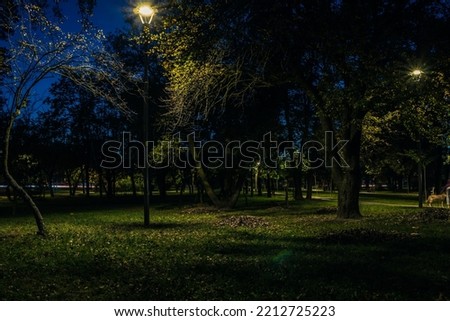 The tailed lawn with yellow leafs in the night park with lanterns in autumn. Benches in the park during the autumn season at night. Illumination of a park road with lanterns at night. Park Kyoto